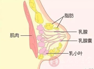 比如情绪不稳定，心烦意乱，月经不调等表现。