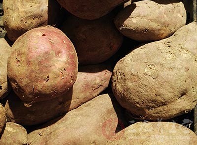 吃红薯会发胖吗 红薯有哪些营养价值 - 民福康