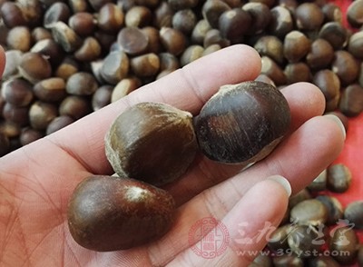 好在兩餐之間把栗子當成零食，或做在飯菜里吃，而不要飯后大量吃