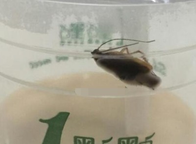 龙都国际娱乐_龙都国际娱乐城_龙都电子娱乐城