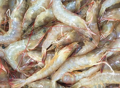 小河虾怎么做好吃 吃它有什么好处