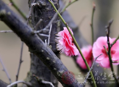 注意擺放在室內(nèi)陰涼干燥處，避免兒童自行拿取