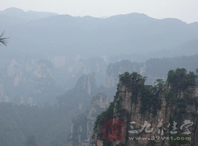 去野外攀登以前，一定要得到正確的指導