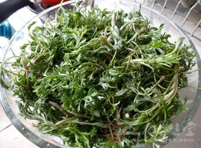 茵陳蒿嫩莖葉250g,白糖、麻油各適量