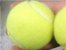 毛茸茸的黄色网球