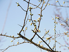 鳥語(yǔ)花香的春天來(lái)了