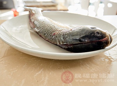 放入魚塊，倒入花雕酒，不用翻動(dòng)魚塊