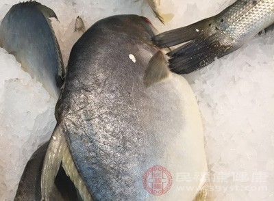 鳊魚含有豐富的蛋白質(zhì)，有利于人體的吸收與消化，是人們體重補(bǔ)充蛋白質(zhì)假的來源之一