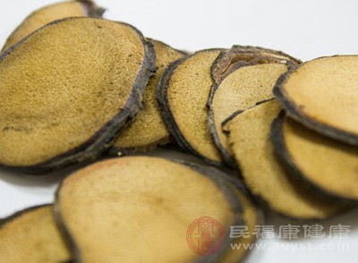 鹿茸、鹿角霜壯陽(yáng)益精