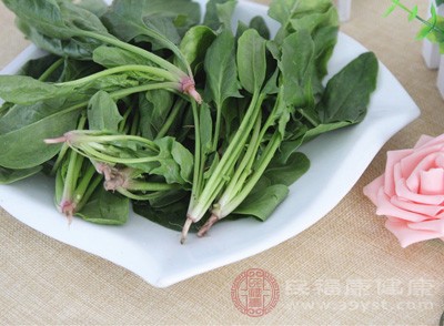 孕婦食用菠菜能促進生長發(fā)育，增強抗病能力