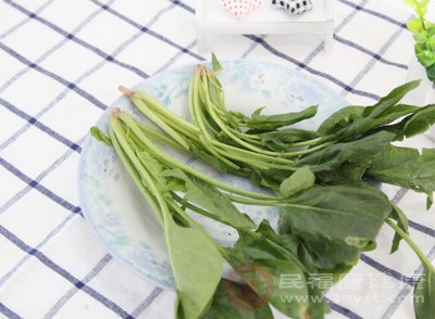 進(jìn)食菠菜可有效補(bǔ)充維生素E，有助于緩解疼痛