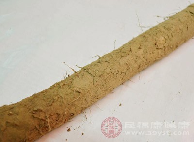 盆腔炎吃什么食物好