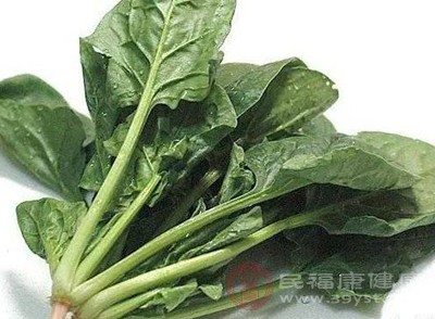 菠菜的營養(yǎng)價(jià)值