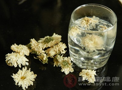 貢菊能鎮(zhèn)靜中樞神經(jīng)，增強毛細(xì)血管的抗炎力，抑制人體結(jié)核桿菌、葡萄球菌、綠濃桿菌、流感病毒、皮膚真菌、霍亂孤菌、鏈球菌的活動