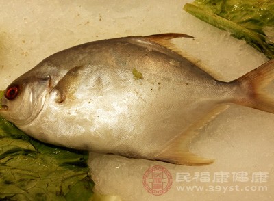 有不少發(fā)熱咳嗽患兒在進(jìn)食魚(yú)腥類(lèi)食物后反倒是致癥狀加重