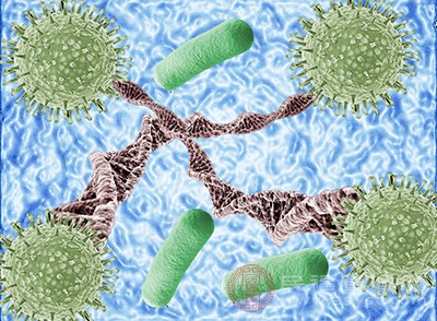 病毒在灰质内大量复制,沿神经下行到达唾液腺、角膜、鼻黏膜、肺、皮肤等部位。狂犬病病毒对宿主主要的损害来自内基小体