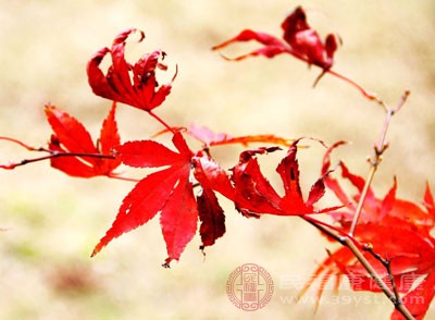 韓式汗蒸 汗蒸注意這幾點(diǎn)效果更好