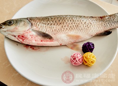 引起過敏常見的食物是魚類、蝦蟹、蛋類、牛奶等