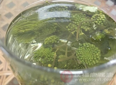 是药物经过沸水浸泡去渣所得的液体剂型