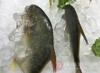 不只是因為大海讓人神清氣爽，主要是他們把魚當作“主食”