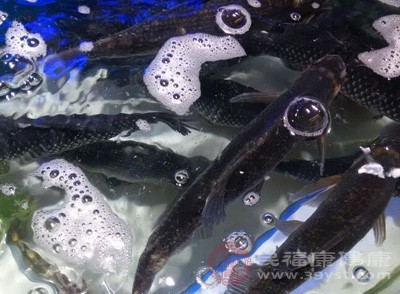 山藥忌與鯉魚、甘遂同食，它們相克