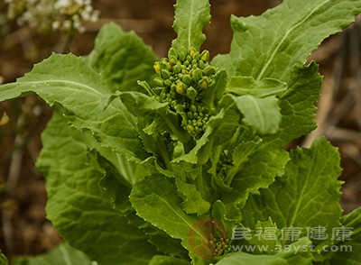 因为香椿中富含钙质，但是和菜花一起食用的话，就会影响钙质的吸收和消化了，所以香椿和菜花不能一起吃