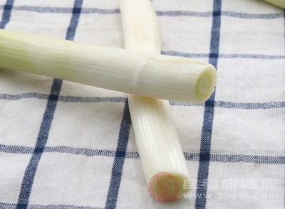 大葱切丝同切削黄瓜的方法，将葱白切成长丝备用