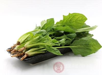 白內(nèi)障吃菠菜好