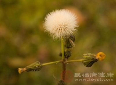 女性尿路感染的原因 它是导致尿路感染的真凶