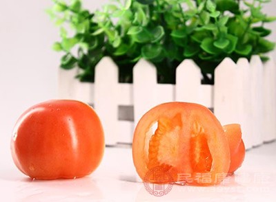 西红柿中含有很多的纤维素和维生素