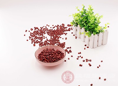 红小豆中含有的磷脂物质也很丰富