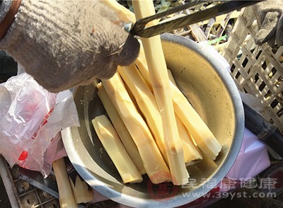 春季的甘蔗大多为秋季的存货