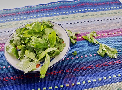 芹菜中含有一种叫做芹菜碱的物质