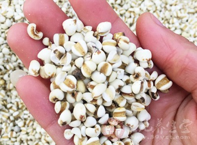 薏苡仁30-60克，粳米50克，同煮粥，用适量白糖调味食用