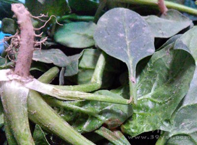 維生素宜多食新鮮蔬菜