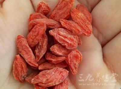 枸杞這種紅色的小果子是多數(shù)人都很熟悉的一種食材