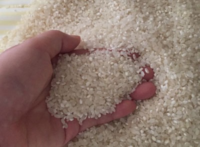 据可靠消息,在宣城市宣州区水东小燕子幼儿园食堂里有过期的大米,这所幼儿园食堂还存在无采购记录、大米未离地存放、无消毒设施、无保洁柜的问题,希望有关部门能够重视这个问题。 我是幼儿园里的孩子家长,近日送孩子去上学之后,在幼儿园里闲逛的时候无意中在对水东小燕子幼儿园发现一袋过期大米,就去询问了幼儿园的负责人,姓高的负责人昨天告诉我说,幼儿园一般一个星期买一次米,有时候给孩子们吃面食,米就会多吃两天。这过期的米是前两三天到期的,到期后是周末,并未给孩子们食用。 这位负责人表示,幼儿园的米多年来固定在一