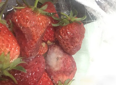 青岛利群超市卖发霉长毛的盒装草莓