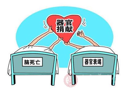粤器官捐献量连续七年全国第一