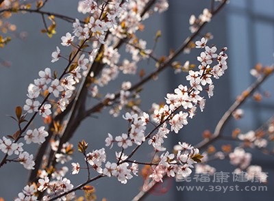 谷雨时节正是春海水暖之时