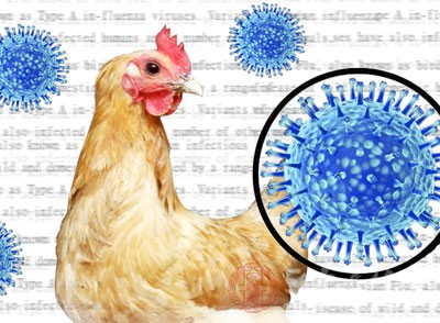 陕西省疾控中心采样结果显示为H7N9病毒核酸阳性