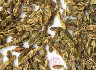 槐角茶的功效与作用 槐角茶用药禁忌 - 民福康