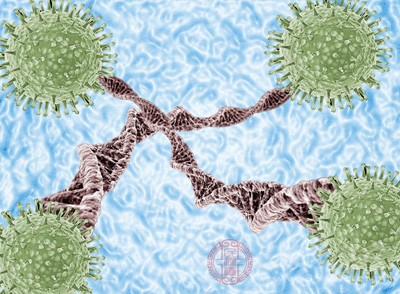 HIV侵入CD4+淋巴细胞后，在病毒逆转录酶的作用下，合成DNA