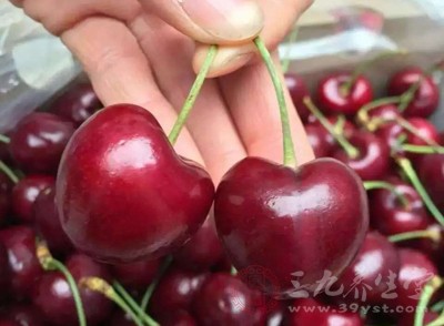 車?yán)遄又泻胸S富的花青素、花色素、維生素E等