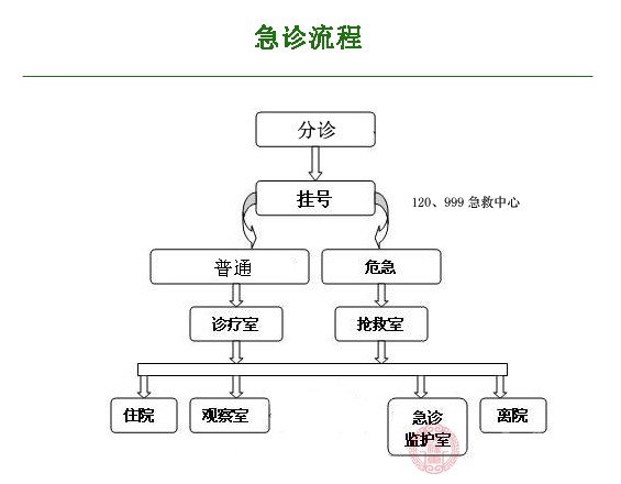 急诊就诊流程 急诊就诊流程