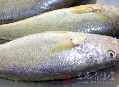 可以將魚、肉熬成湯食用