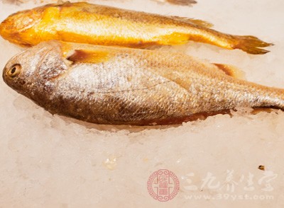 空腹吃鱼肉会“浪费蛋白质”