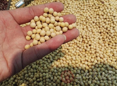 含蛋白质多的粮类是大豆