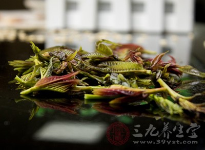 香椿的营养价值与保健功效