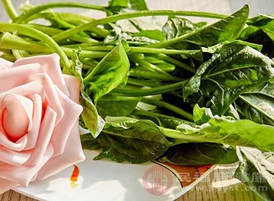 菠菜性味甘寒，止渴润燥，是辅助治疗糖尿病口渴喜饮的佳蔬菜